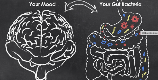 Can gut health affect anxiety?